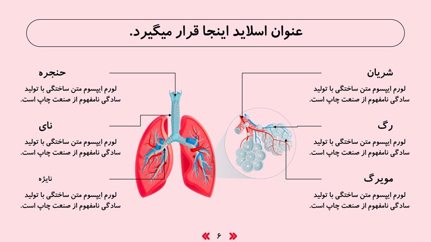 respirotary-system-7