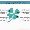 تم پاور طرح شاخ و برگ